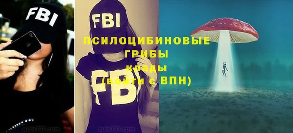 гидропоника Кинешма