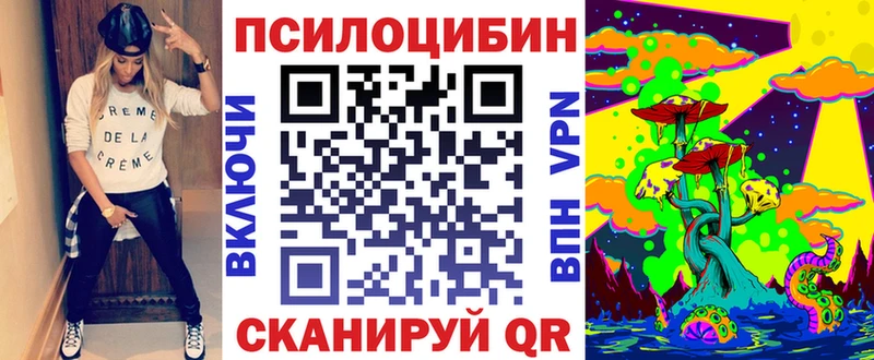 Купить закладки  Людиново  Галлюциногенные грибы GOLDEN TEACHER 